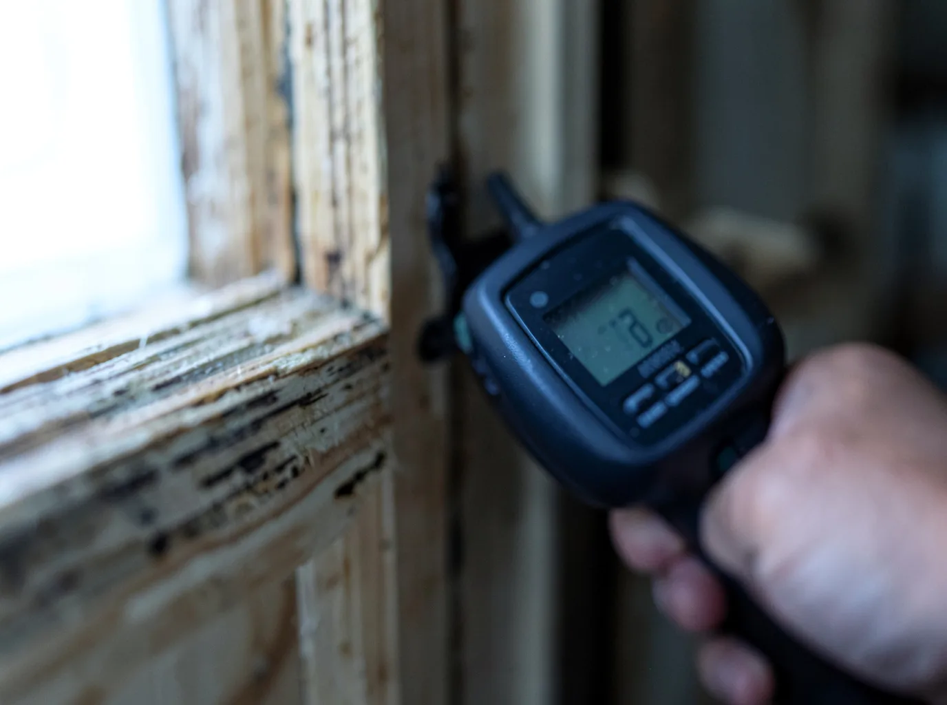 Moisture Inspection And Documentation in Molt, MT